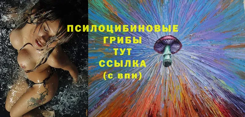 Псилоцибиновые грибы Magic Shrooms  Байкальск 